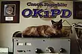 QSL lístek OK1PD Josefa Plzáka