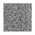 Verze 40 (177×177)