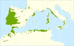 Areál rozšíření