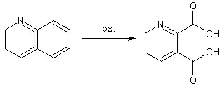 Oxidace chinolinu