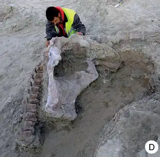 alternativní popis obrázku chybí
