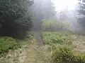 Rýchory