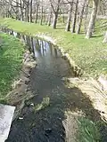 Rąžė v Palanze