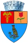 Pitešť – znak