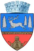 Bacău – znak