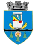 Beiuș – znak