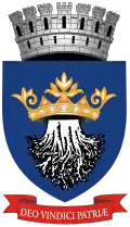 Brašov – znak