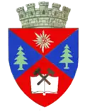 Petroșani – znak