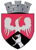 Târgu Frumos – znak