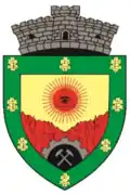 Baia de Aramă – znak