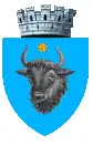 Sighetu Marmației – znak