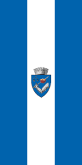 Târgu Mureș – vlajka