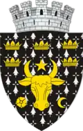 Rădăuți – znak