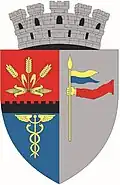 Turnu Măgurele – znak
