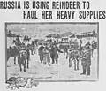 V roce 1904 se císařská ruská armáda uchýlila k užívání sobů k rychlému přemísťování těžkých zásob za rusko-japonské války.
