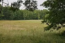 Rašeliniště Kaliště