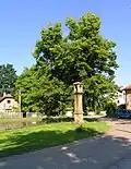 Náves