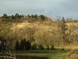 Pohled na stráň od jihu přes údolí Výrovky