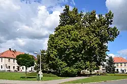 v srpnu 2016
