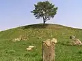Pohled zblízka