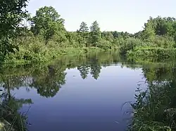 Řeka Pcič