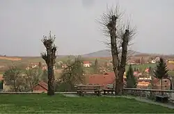 Pohled na Rakovici