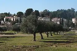 Pohled na kibuc Ramat Rachel