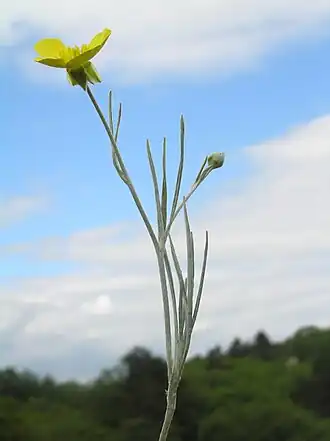 alternativní popis obrázku chybí