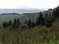 Vyhlídka na Ralsko (698 m)