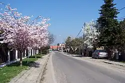 Hlavní ulice