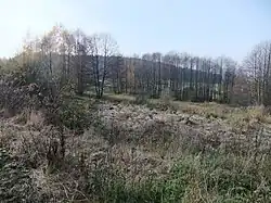 Pramenná oblast potoka