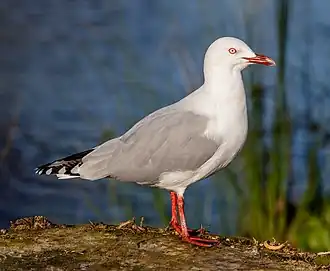 alternativní popis obrázku chybí