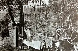 asi 1900