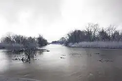 Ústí řeky Redy do Puckého zálivu