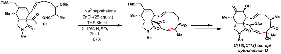 Totální syntéza C(16),C(18)-bis-epi-cytochalasinu D use zapojením Reformatského reakce