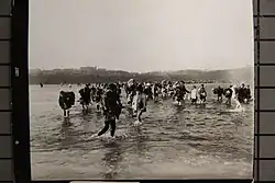 Korejští uprchlíci překračují řeku