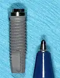 Standardní 13mm zubní implantát s kořenem a perem vedle něj pro srovnání velikosti