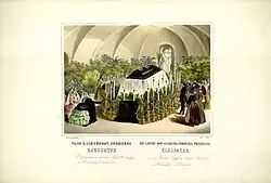 Pohřeb princezny Kleopatry, litografie