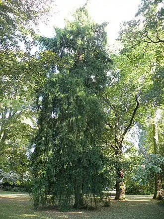 alternativní popis obrázku chybí