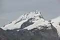Rimpfischhorn