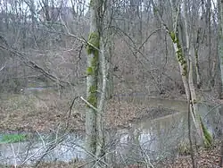 Ringelis mezi čtvrtěmi Tauras (domy v pozadí) a Žaliasis slėnis, pohled k jihozápadu