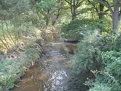 Vodní tok vinoucí se mezi listnatými stromy a keři.