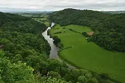 Forest of Dean