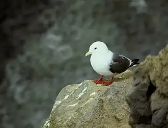 alternativní popis obrázku chybí