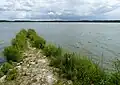 Rožmberk, od výpusti Adolfka