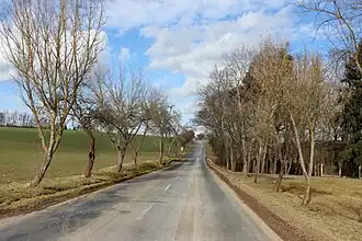 Cesta