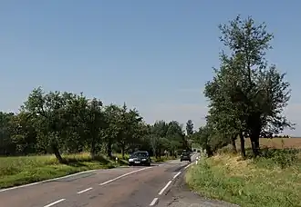 Silnice k Opočnu