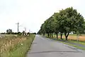 Silnice od Sadské