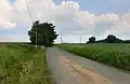 Silnice k Lestkovu