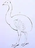 Kresba, 1854